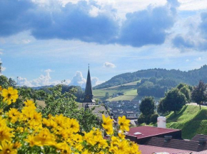 Гостиница Ferienwohnung-am-Kapellenberg-am-Rande-des-Nationalparks-Schwarzwald, Бад-Петерсталь-Грисбах